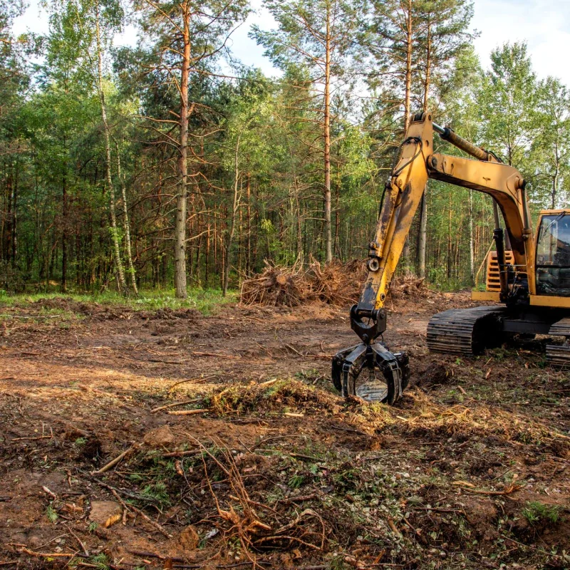 Land Clearing